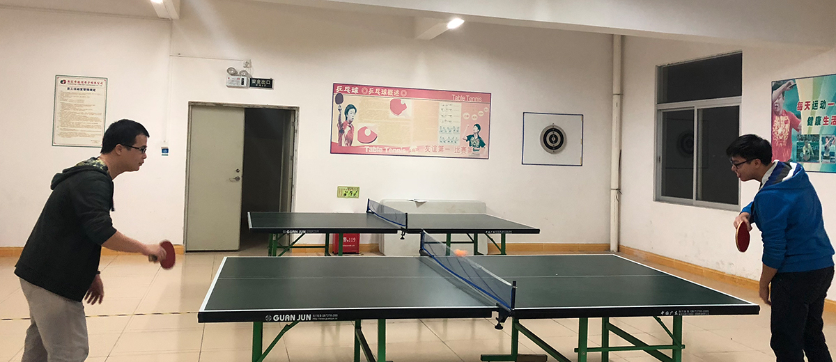 pingpong