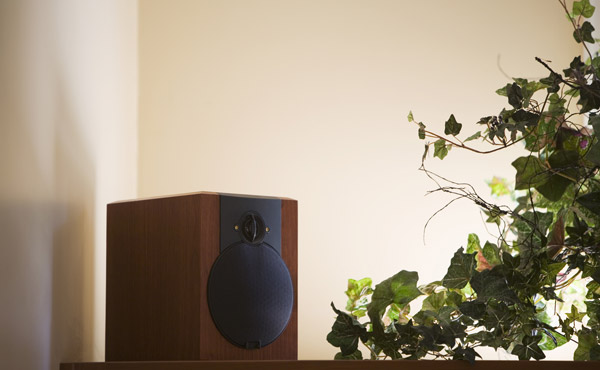 R&D of Home audio